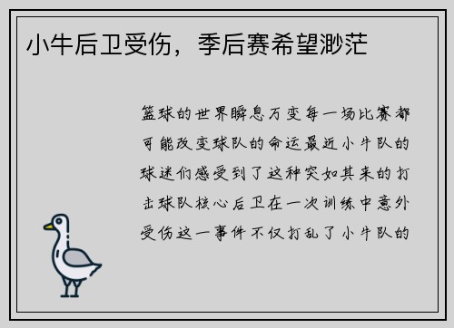 小牛后卫受伤，季后赛希望渺茫
